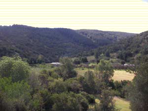 SANY0009 1024x768 300x225 Can you imagine    a place with ZERO property tax?