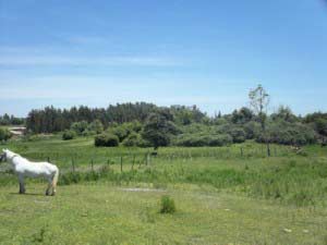 101 0522 e1359563585285 Can you imagine    a place with ZERO property tax?