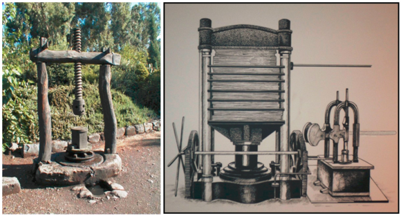 Screw press versus hydraulic press