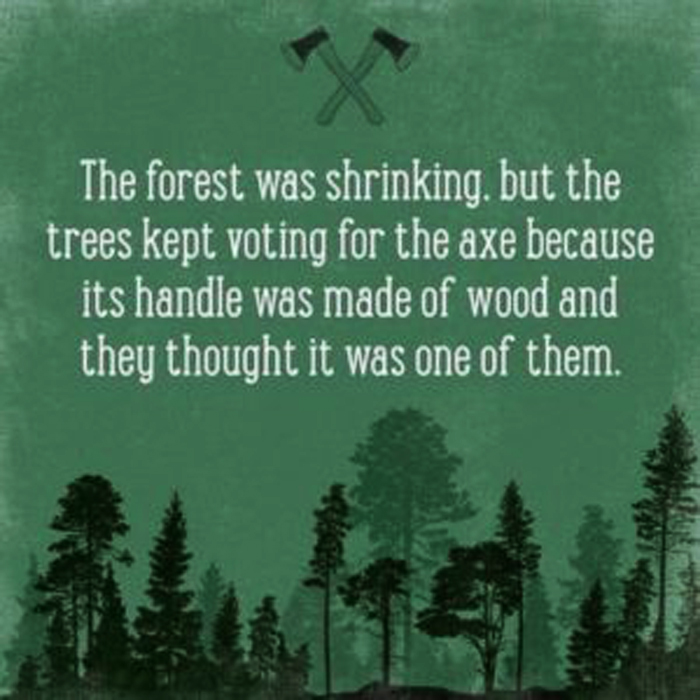 forest-votes-for-axe-meme.jpg