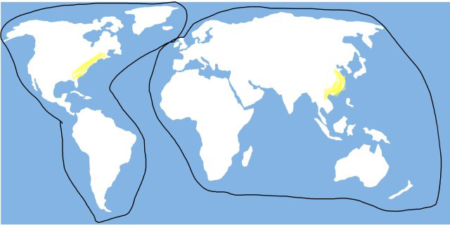 World trade World trade