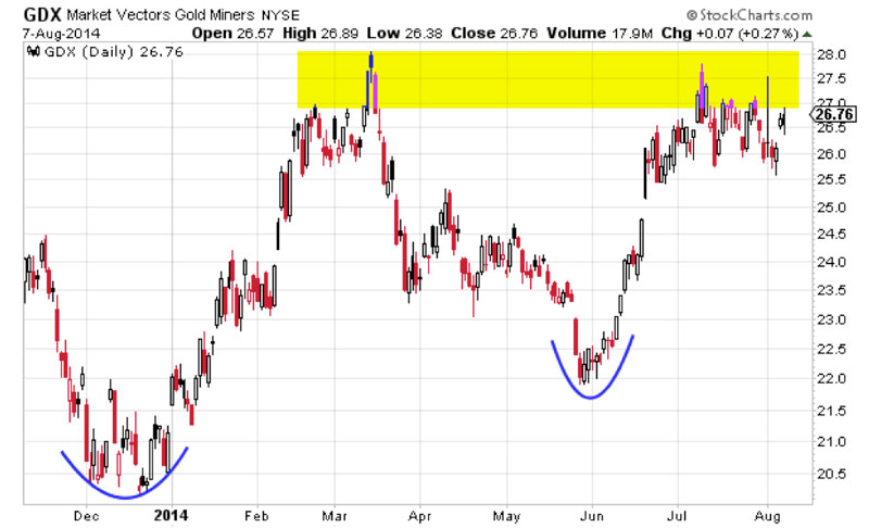 Market Vectors Gold Miners ETF (NYSE:GDX)