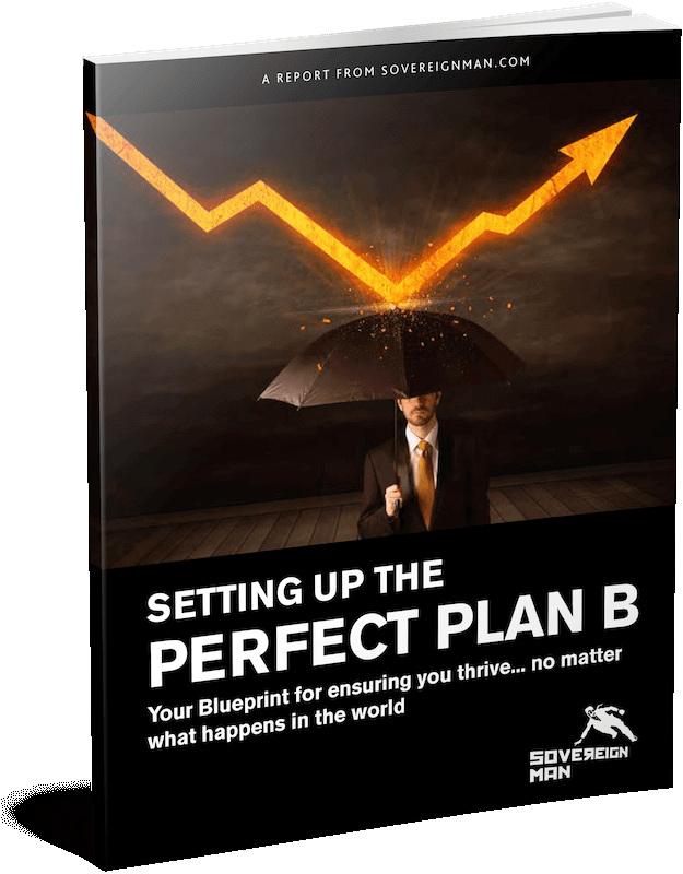 Perfect Plan B Guide