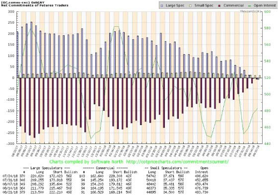 Gold Commercial Shorts