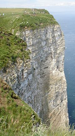 Federal bank reserve picture