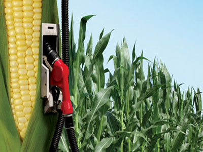 corn ethanol