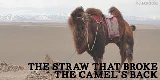 straw