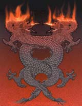Dragon fire