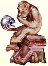 Chimp