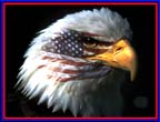 Don't mess with America