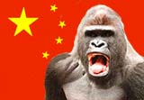 800 lb. gorilla