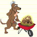 Rock Hound